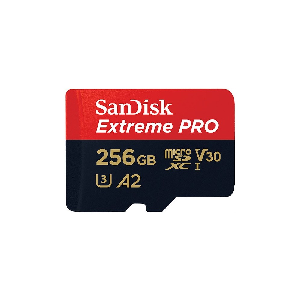 Carte mémoire microSDXC™ 256 go SanDisk Extreme pro
